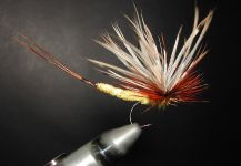 Fly-tying for Brownie - Photo by Agostino Roncallo | Fly dreamers 