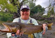  Foto de Pesca con Mosca de Trucha marrón por Juan Carlos Ahumada | Fly dreamers 