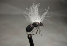  Fotografía de atado de moscas para Salmo fario por Agostino Roncallo | Fly dreamers 