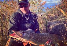 Laurent Commeiras 's Fly-fishing Photo of a Pike | Fly dreamers 