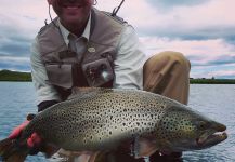 Brett OConnor 's Fly-fishing Catch of a European brown trout | Fly dreamers 
