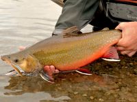 Foto de pesca con mosca