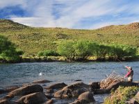 Foto de pesca con mosca