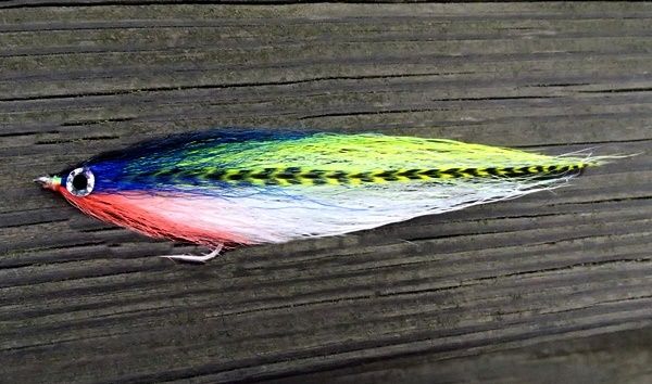 With the herring coming into our waters a blue fly is the ticket. But, the water is sometimes stained and a loud fly is called for.....hence this BTD (BuckTail Deceiver).