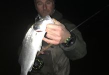Fly-fishing Situation of European seabass shared by Laurent Commeiras 