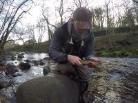 Not the target species but a beautiful brown trout none the less.