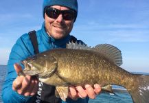 Ryan Shea 's Fly-fishing Image of a Smallmouth Bass | Fly dreamers 