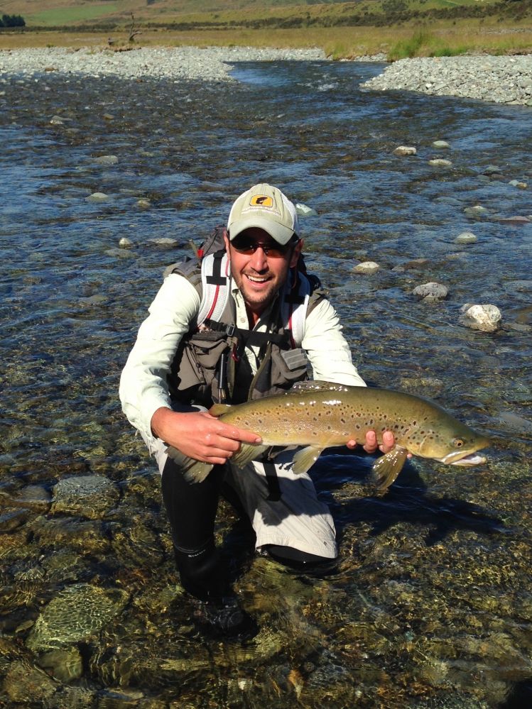 New Zealand brown trout