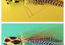  Foto de Atado de moscas compartida por Joe Rowe | Fly dreamers