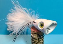 Fly for bigmouth bass by Joe Rowe | Fly dreamers 