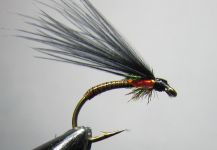 Fly-tying for Rainbow trout -  Image shared by Fly Tying Scotland | Fly dreamers