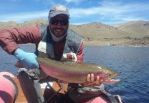 Fly-fishing Pic of Rainbow trout shared by Juan Pablo Fourniguier | Fly dreamers 