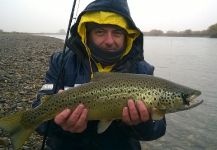 Jorge Lascurain 's Fly-fishing Picture of a Brownie | Fly dreamers 