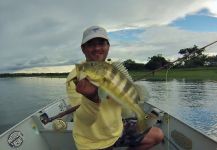 Fly-fishing Picture of Peacock Bass shared by Luiz Logo | Fly dreamers