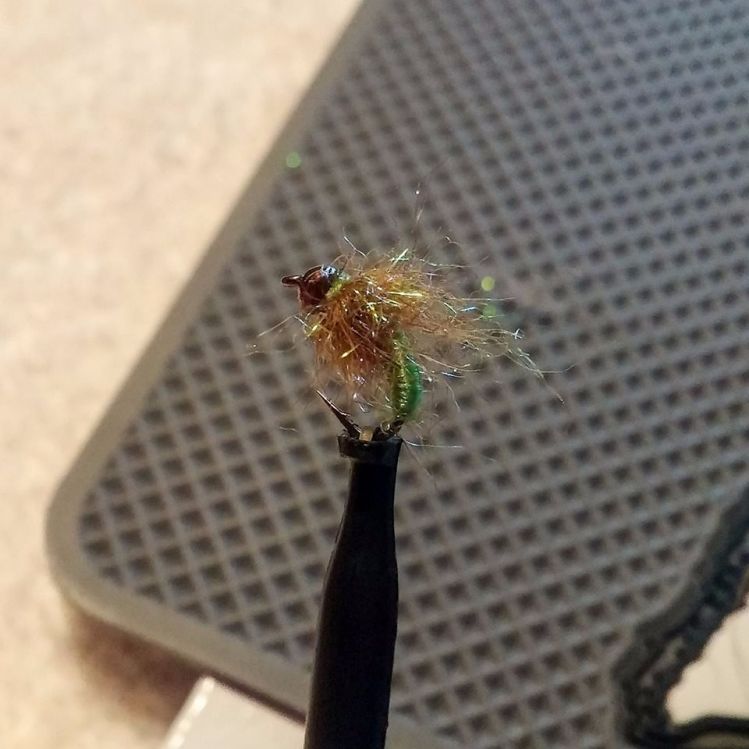 Ice Wing Caddis Pupa, with a Nymph-Head® Evolution™ Caddis Tungsten Beadhead in Brown