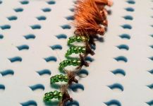 Mira esta imagen de atado de moscas de Cierra Bennetch | Fly dreamers