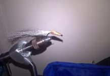  Mira esta imagen de atado para Bonefish de Kellyanne Gill | Fly dreamers 