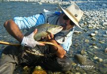 Musicarenje.net  - Murino 's Fly-fishing Photo of a von Behr trout | Fly dreamers 