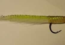 Jack Denny 's Fly for Striper - Picture | Fly dreamers 