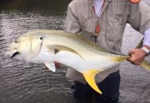 David Bullard 's Fly-fishing Catch of a Jacks | Fly dreamers 