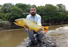 Fly-fishing Situation of Golden Dorado - Image shared by Jorge Gervasi | Fly dreamers