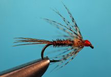  Foto de Atado de moscas para Salvelinus fontinalis compartida por Jimbo Busse | Fly dreamers