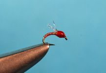  Mira esta mosca para Trucha arcoiris de Jimbo Busse ) | Fly dreamers 