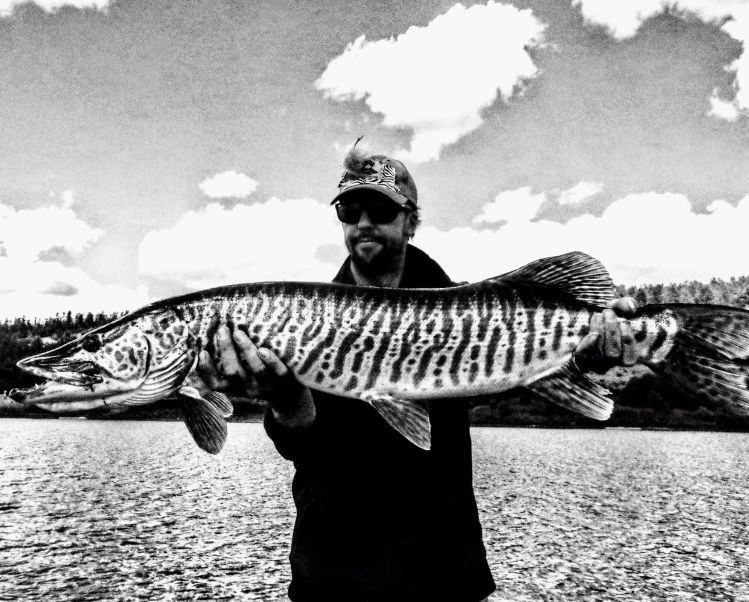 Tiger Muskie on the Fly