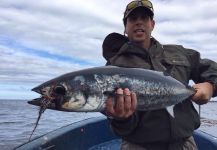 Ramiro Garcia Malbran 's Fly-fishing Picture of a Dogtooth tuna or White tuna | Fly dreamers 