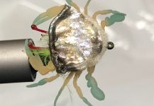Jeff Belanger 's Fly-tying for Permit - Image | Fly dreamers 