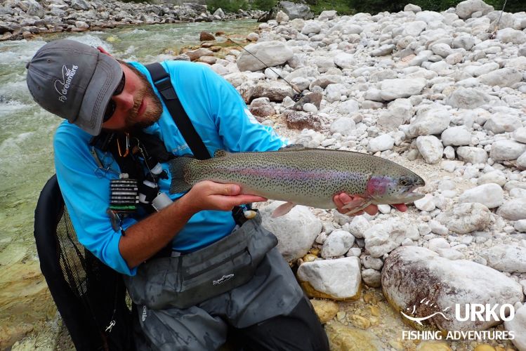 #flydreamerscap
Solid rainbow trout from upper Soča River