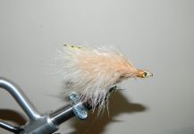 Kellyanne Gill 's Fly for Other Species - Pic | Fly dreamers 