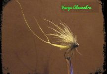 Fly for Browns shared by Varga Alexandru | Fly dreamers 