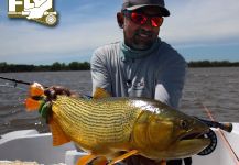 Kid Ocelos 's Fly-fishing Image of a River tiger | Fly dreamers 