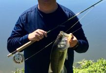 Joe Rowe 's Fly-fishing Catch of a marsh bass | Fly dreamers 