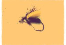  Mira esta fotografía de atado para Trucha arcoiris de Nacho Renard | Fly dreamers