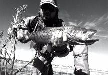 Fly-fishing Picture of Sea-Trout shared by Claudio Rios | Fly dreamers