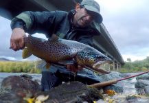  Captura de Pesca con Mosca de Salmo trutta por Rodo Radic | Fly dreamers