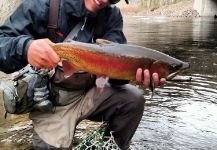 Jared Martin 's Fly-fishing Photo of a Rainbow trout | Fly dreamers 