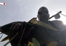  Fotografía de Pesca con Mosca de grass carp por Madrid Fishing | Fly dreamers