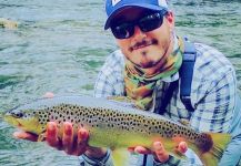 Fly-fishing Image of Brown trout shared by The Lucky Flyfisher | Fly dreamers