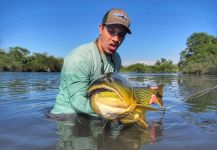 Andres Scaro 's Fly-fishing Photo of a Salminus maxillosus | Fly dreamers 