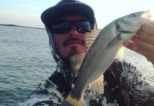 Fly-fishing Photo of European seabass shared by The Lucky Flyfisher | Fly dreamers 
