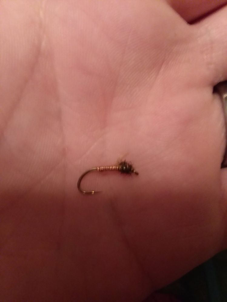 First fly tied. How did I do? Its a brassie and it wasnt easy. Any tips?