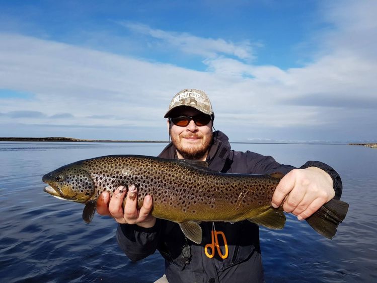 Big brown-trout