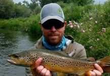 Chris Andersen 's Fly-fishing Pic of a Marrones | Fly dreamers 