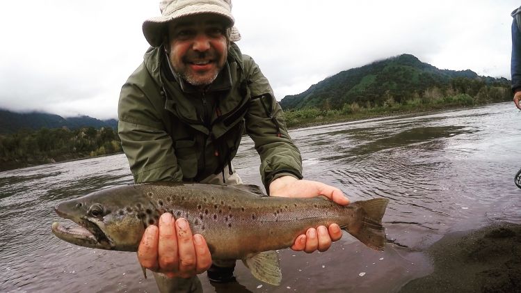 @joseluisravest welcome #fiftyclub     With nice#browntrout (52cm) in #petrohueriver #patagonia #chile 
#photooftheday #outdoors #flyfishing #fishingtrip #glamping #simmsfishing #orvisflyfishing #sage