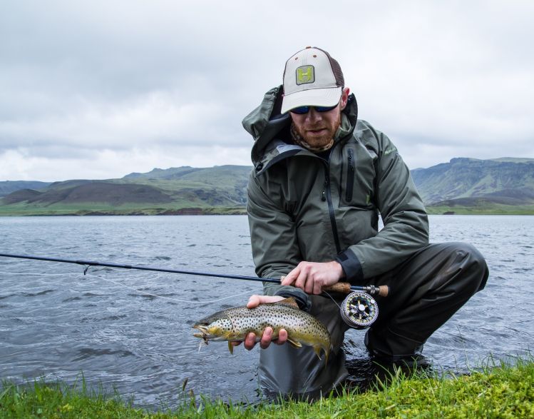 Icelandic Brown trout 