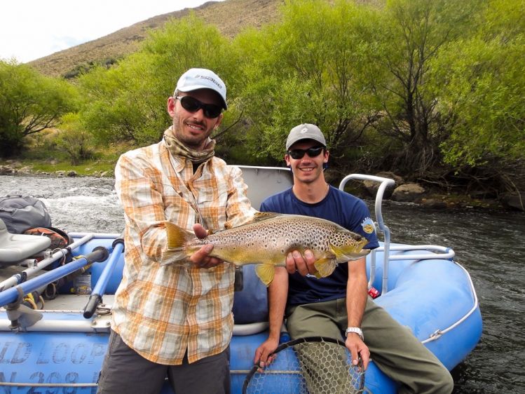 This football brownie crazily run after a chubby on the Aluminé River, Northern Patagonia Argentina.