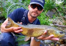 Branko Panic 's Fly-fishing Photo of a Marble Trout | Fly dreamers 